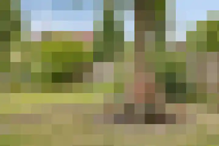 de Luinink 15 Denekamp thumbnail 33
