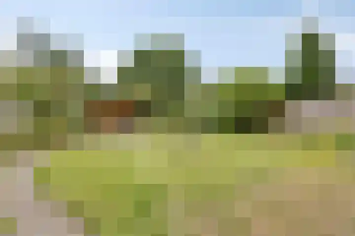 de Luinink 15 Denekamp thumbnail 34