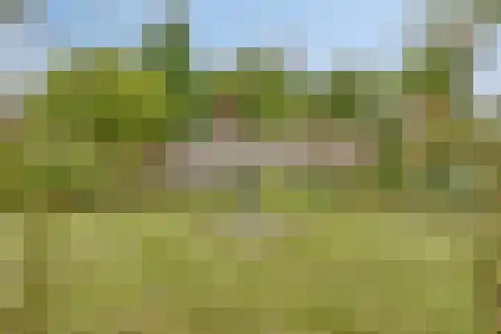 de Luinink 15 Denekamp thumbnail 35