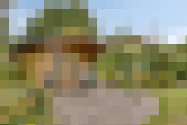 de Luinink 15 Denekamp thumbnail 36