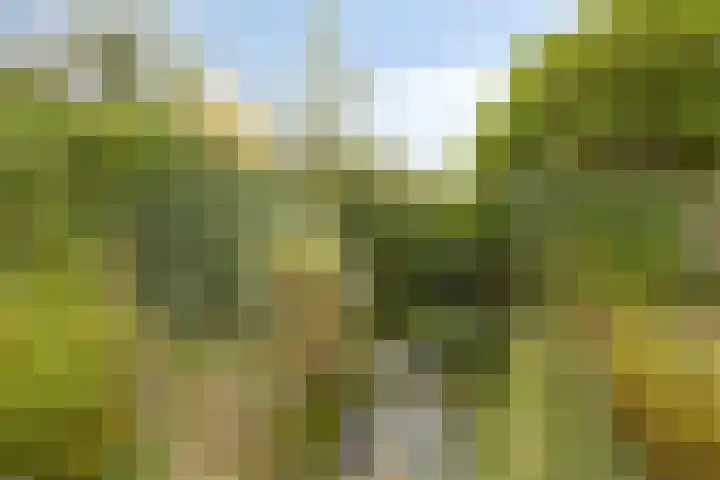 de Luinink 15 Denekamp thumbnail 37