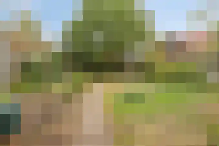 de Luinink 15 Denekamp thumbnail 38