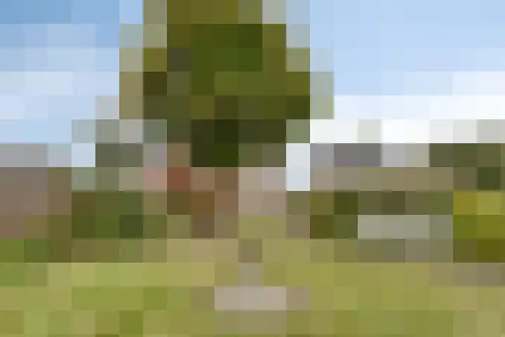 de Luinink 15 Denekamp thumbnail 39