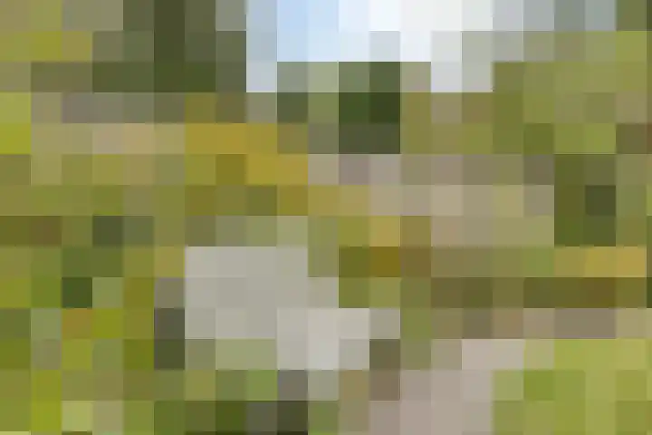 de Luinink 15 Denekamp thumbnail 40
