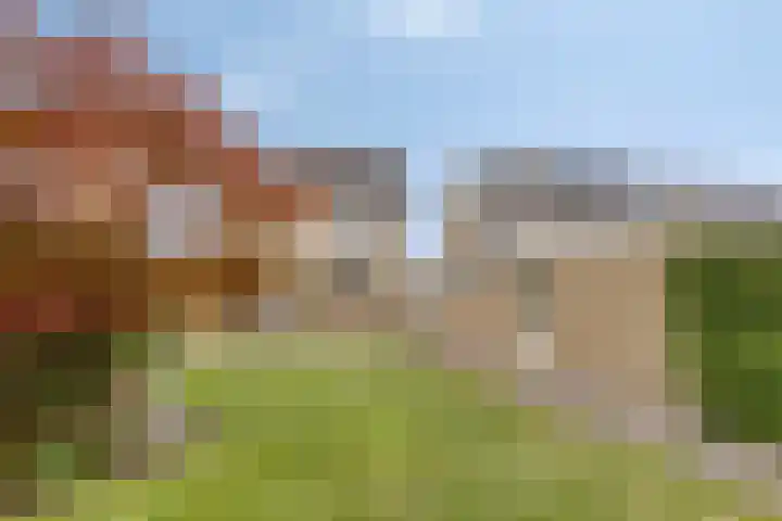 de Luinink 15 Denekamp thumbnail 41
