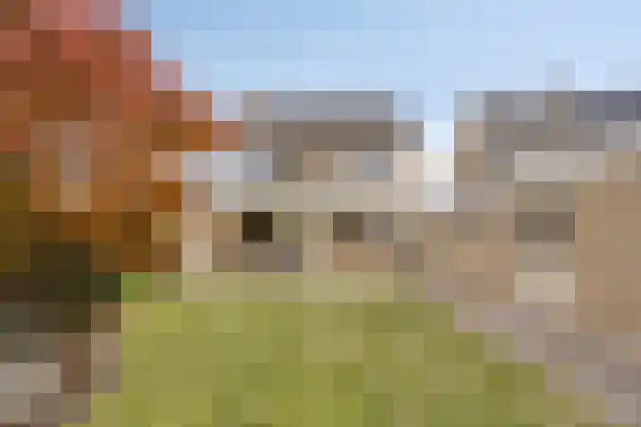 de Luinink 15 Denekamp thumbnail 42