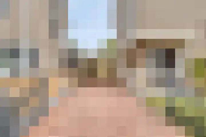 de Luinink 15 Denekamp thumbnail 43