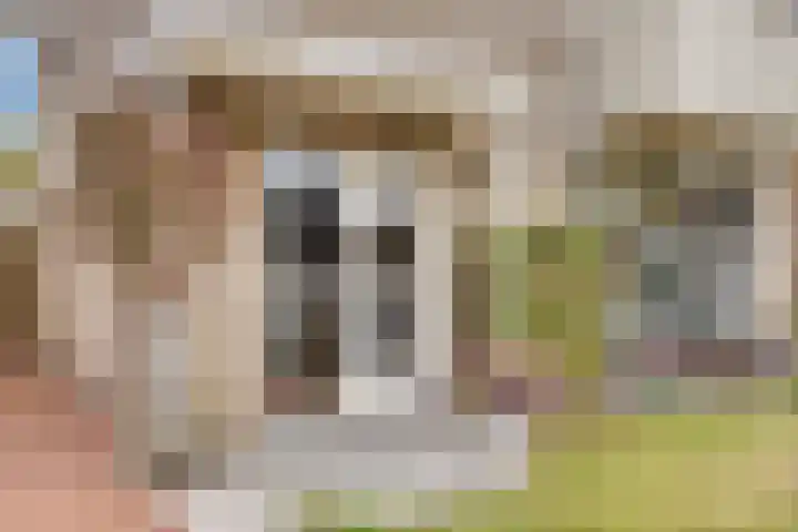 de Luinink 15 Denekamp thumbnail 44