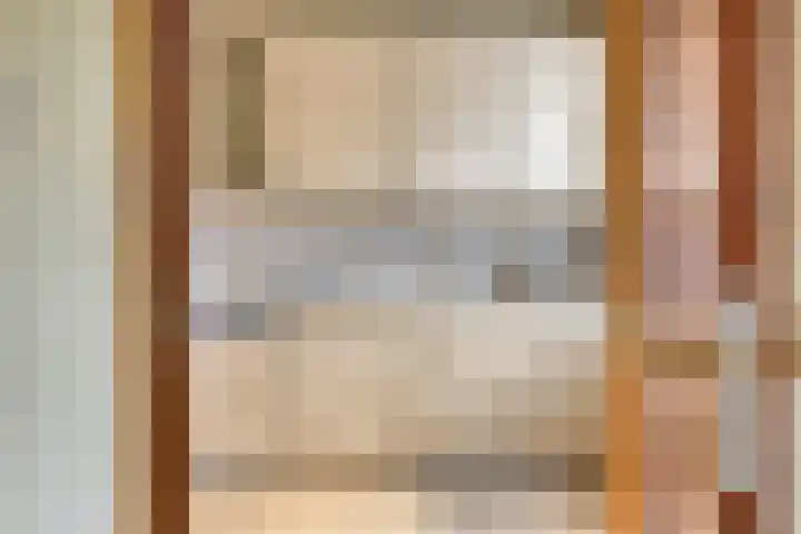 de Luinink 15 Denekamp thumbnail 7