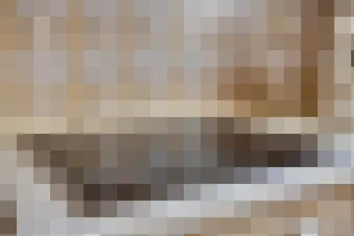 de Luinink 15 Denekamp thumbnail 9