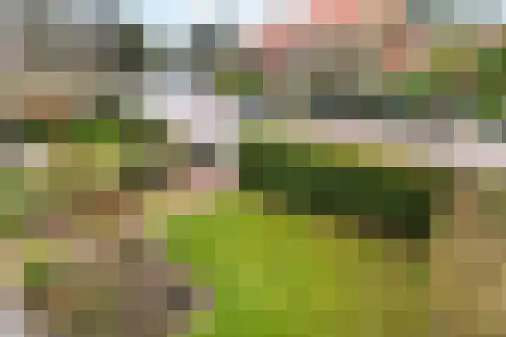 De Lus 6 Wassenaar thumbnail 14