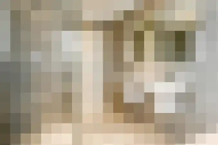 De Lus 6 Wassenaar thumbnail 18