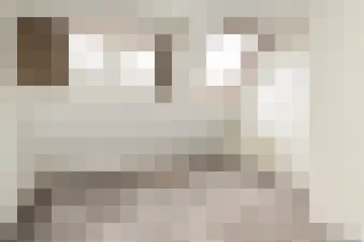 De Lus 6 Wassenaar thumbnail 21