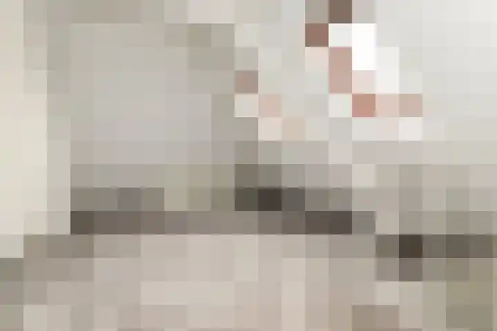 De Lus 6 Wassenaar thumbnail 24