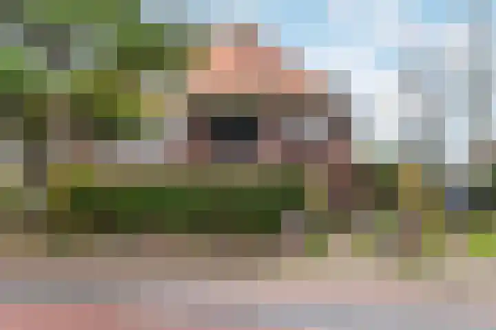 De Lus 6 Wassenaar thumbnail 25
