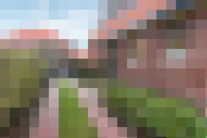 De Lus 6 Wassenaar thumbnail 26