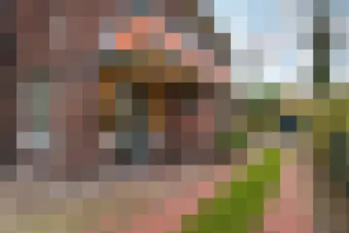 De Lus 6 Wassenaar thumbnail 4