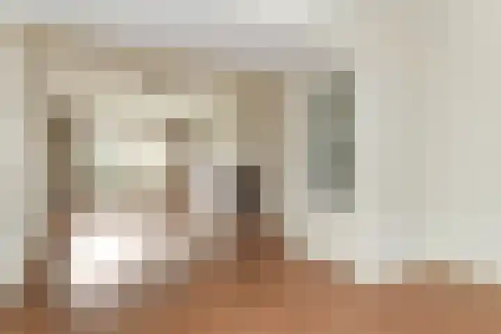De Lus 6 Wassenaar thumbnail 6