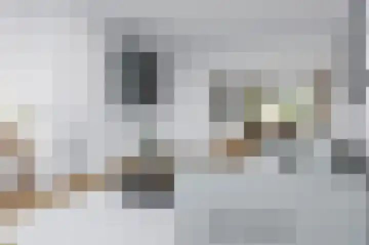 De Lus 6 Wassenaar thumbnail 8