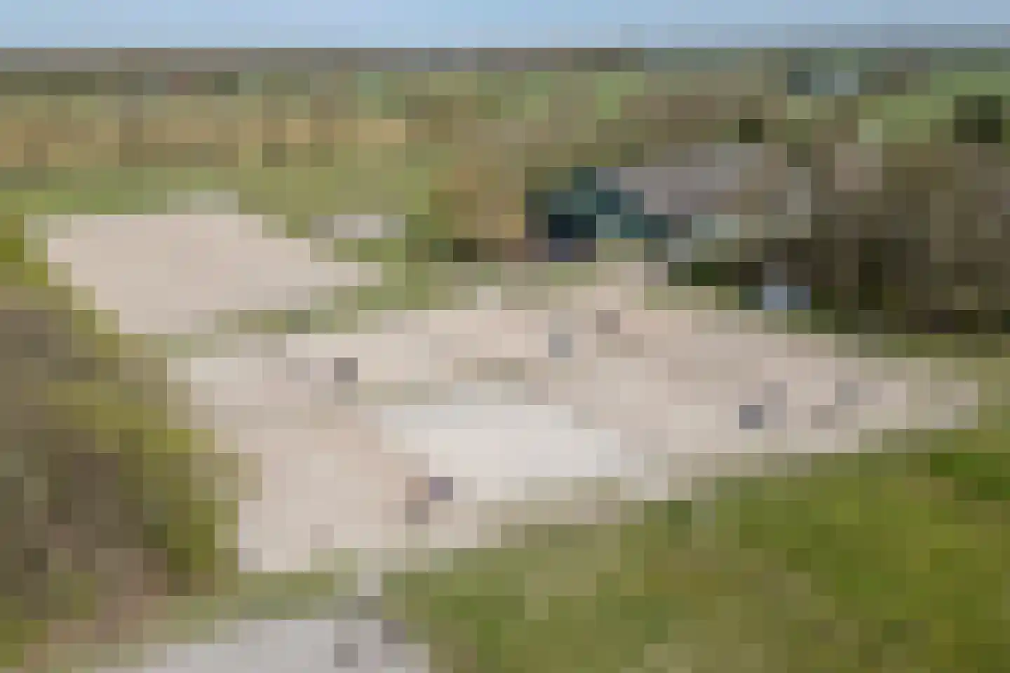 De Luttergreppel 21 dans Linde