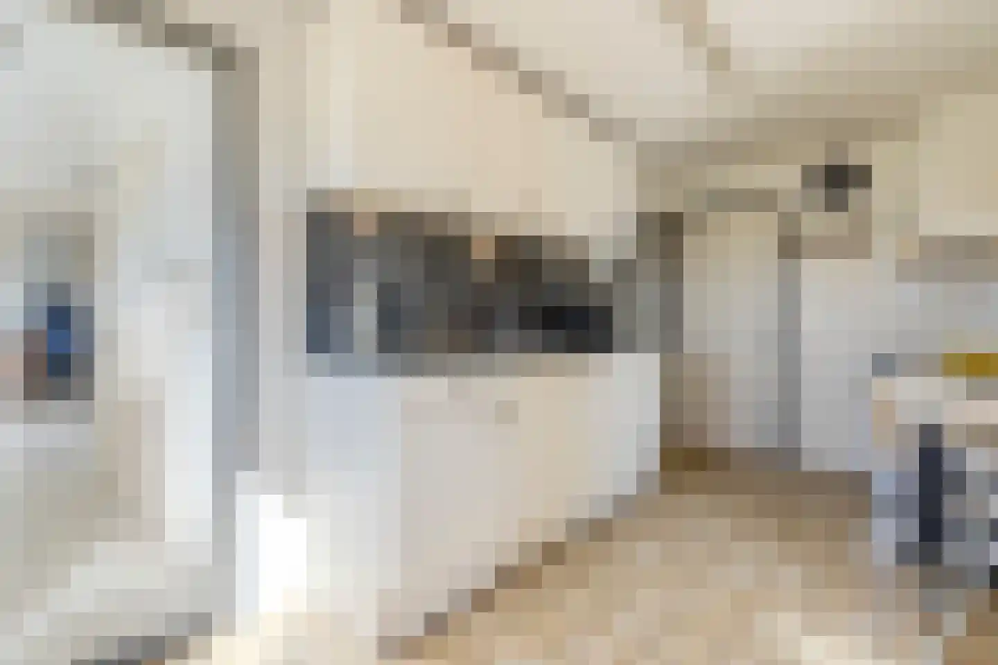 De Luttergreppel 21 Linde thumbnail 14