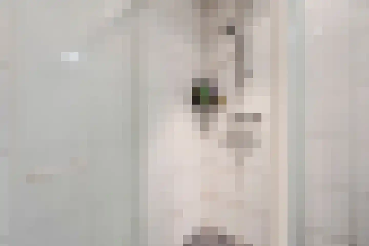 De Luttergreppel 21 Linde thumbnail 20