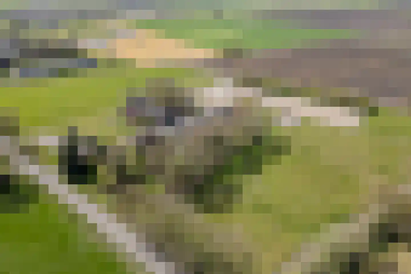 De Luttergreppel 21 Linde thumbnail 4