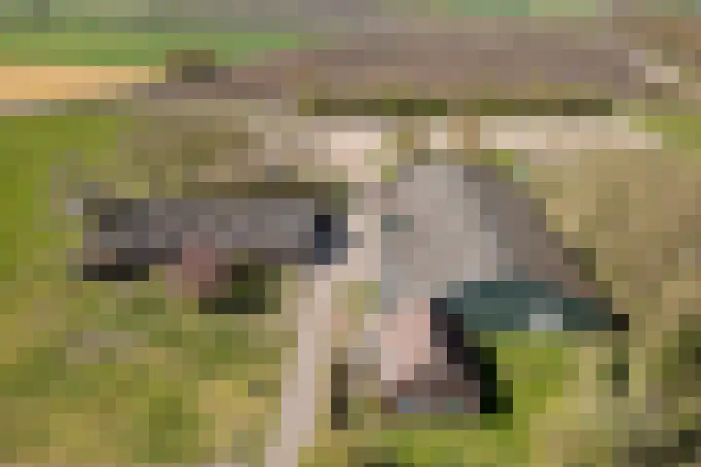 De Luttergreppel 21 Linde thumbnail 5