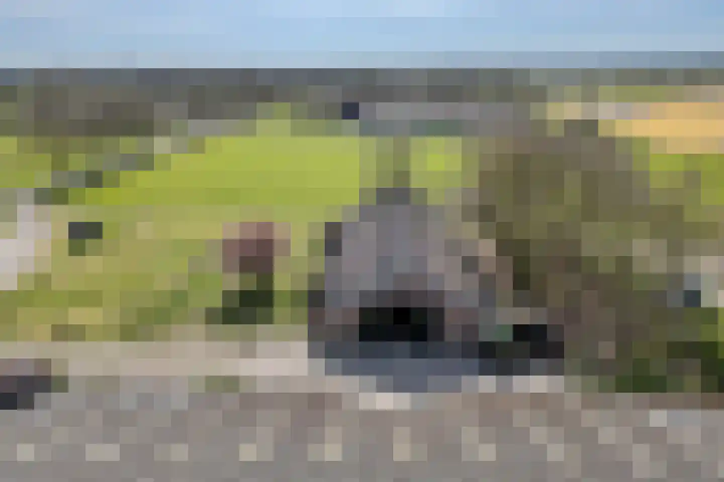 De Luttergreppel 21 Linde thumbnail 52