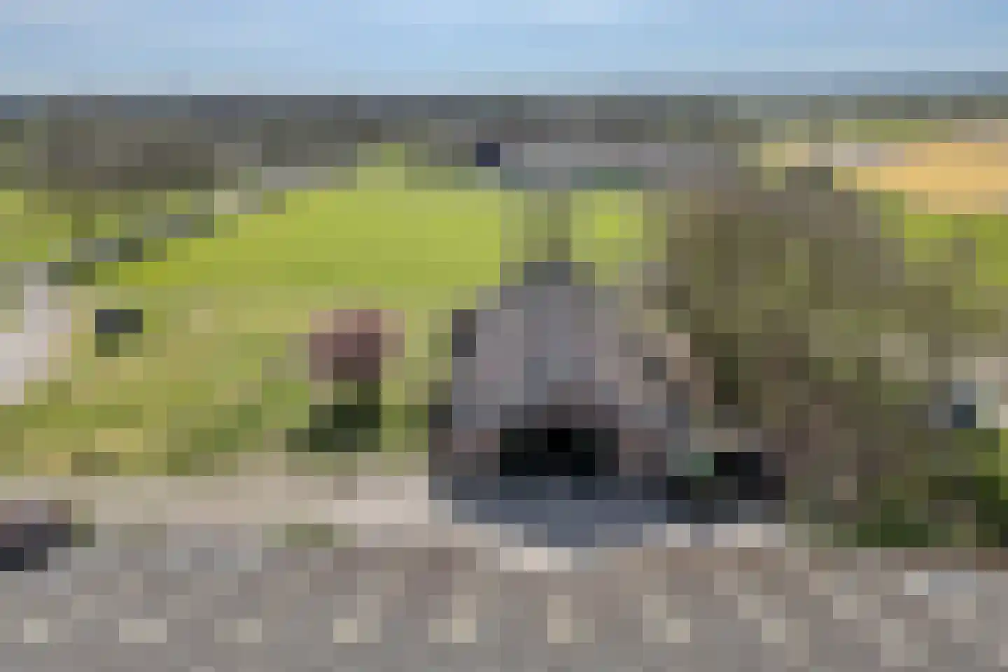 De Luttergreppel 21 Linde thumbnail 52