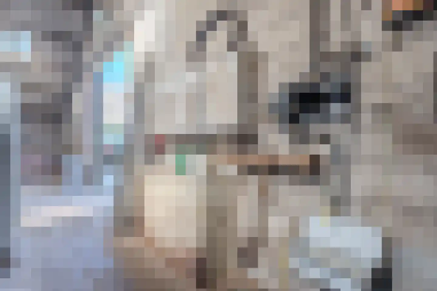 De Luttergreppel 21 Linde thumbnail 58