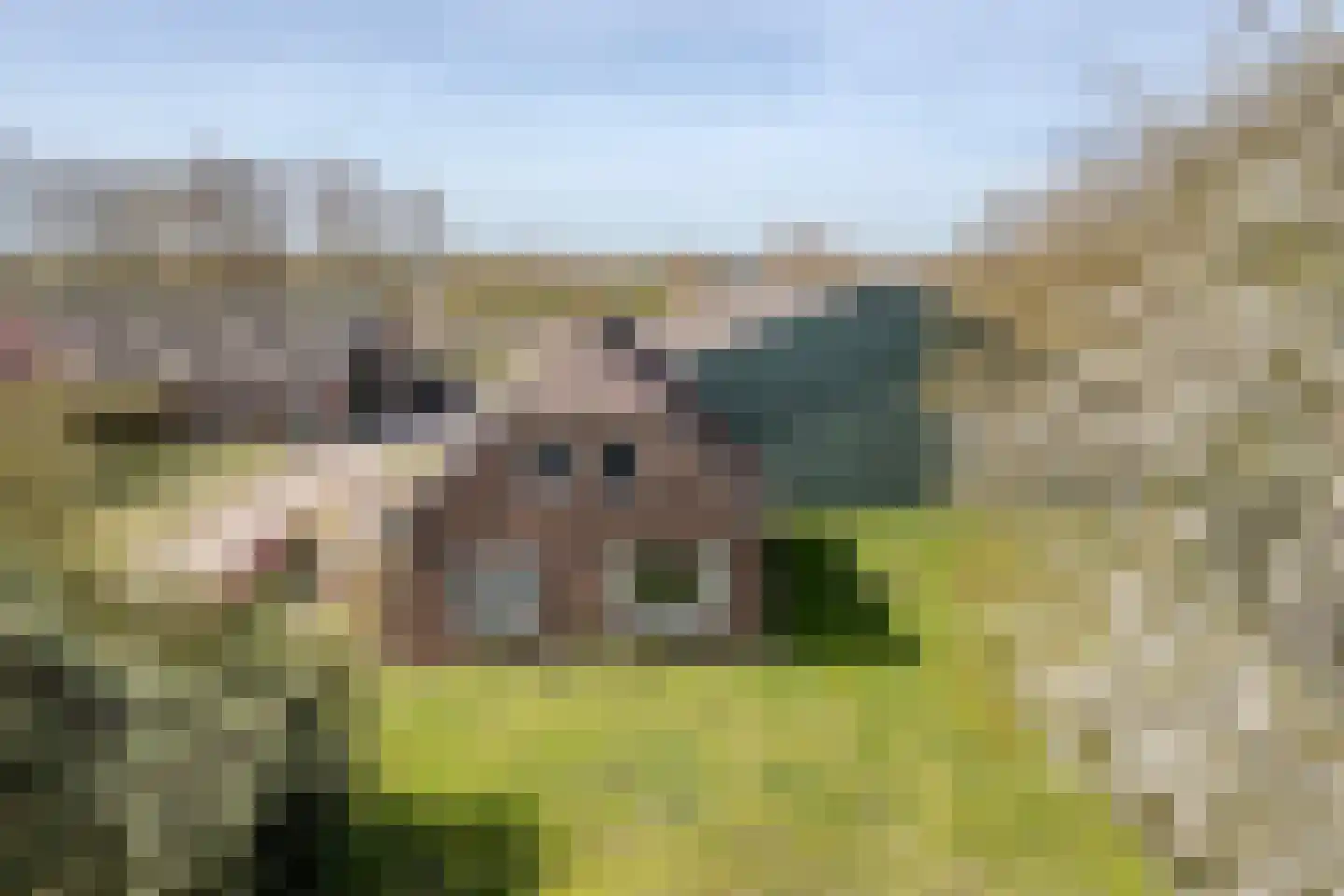 De Luttergreppel 21 Linde thumbnail 60