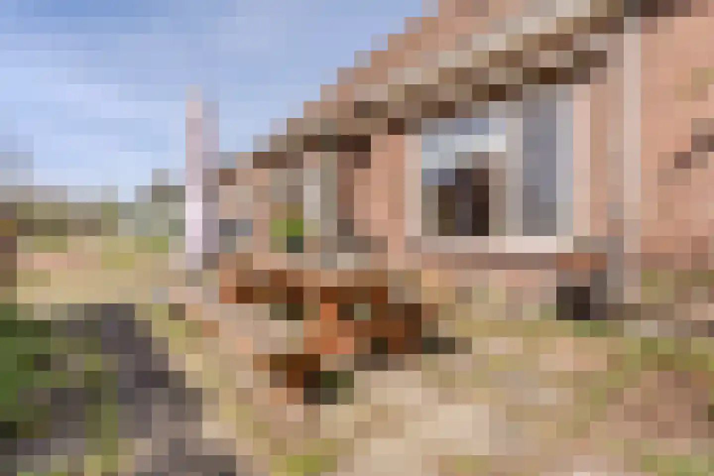 De Luttergreppel 21 Linde thumbnail 62