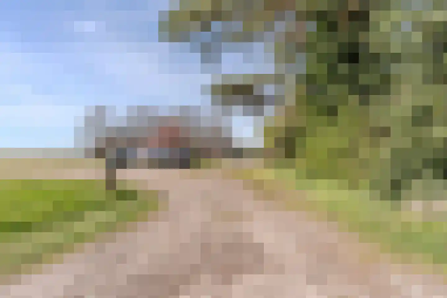 De Luttergreppel 21 Linde thumbnail 63