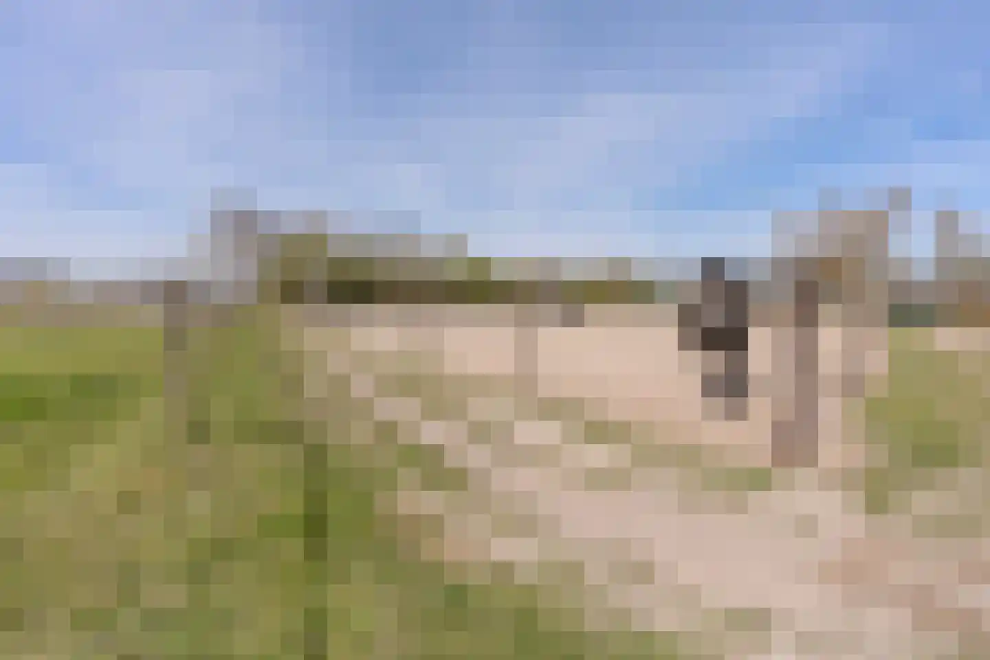 De Luttergreppel 21 Linde thumbnail 68