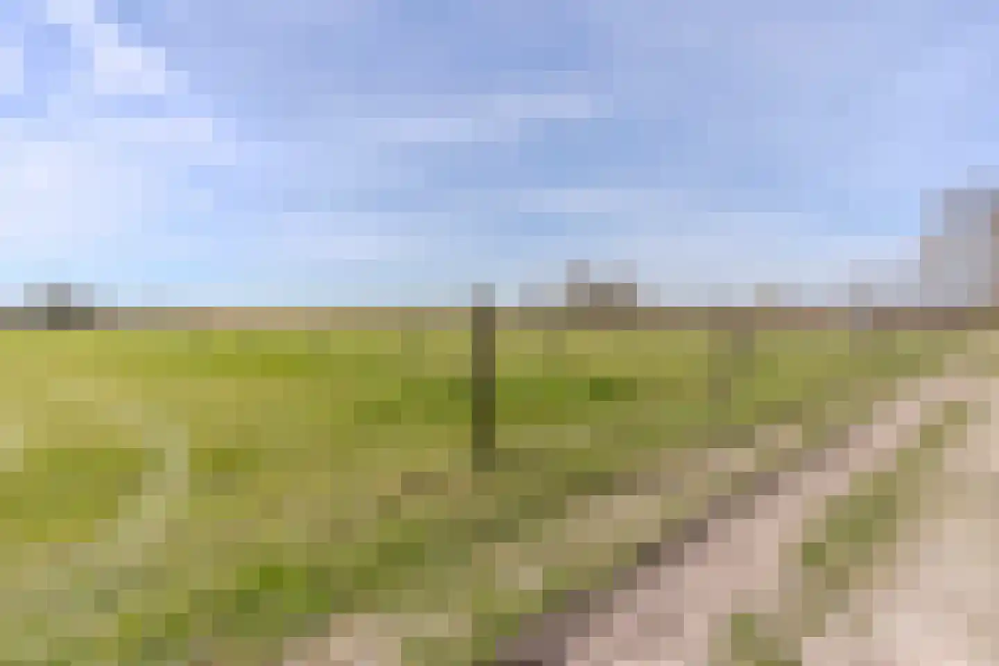 De Luttergreppel 21 Linde thumbnail 69