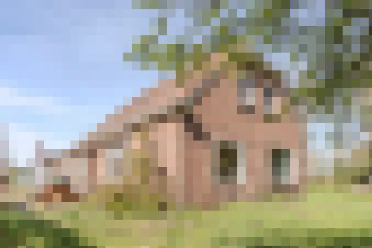 De Luttergreppel 21 Linde thumbnail 7