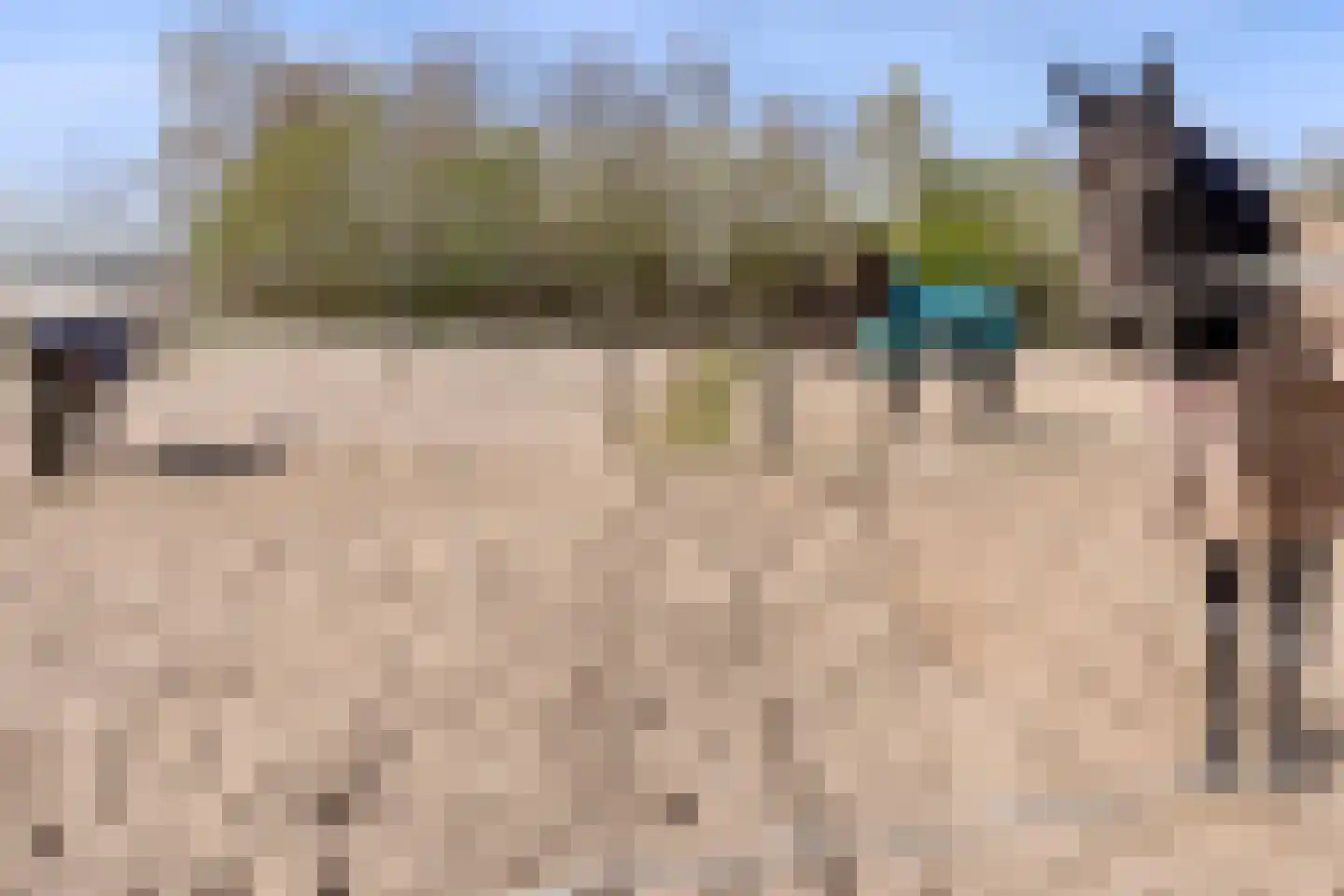 De Luttergreppel 21 Linde thumbnail 70