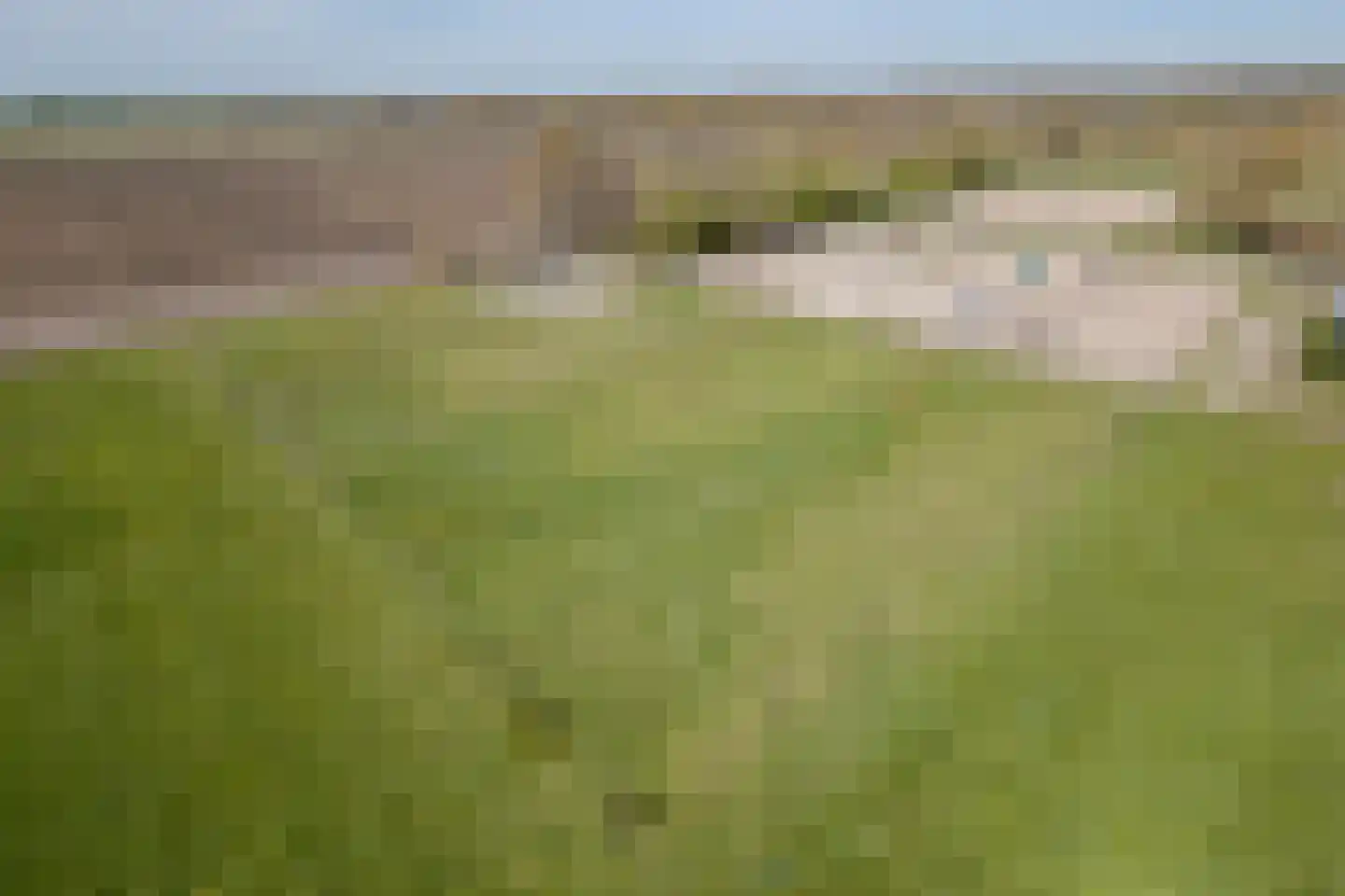 De Luttergreppel 21 Linde thumbnail 71