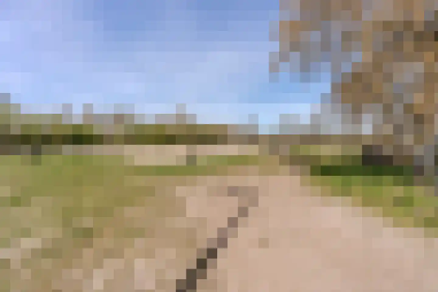 De Luttergreppel 21 Linde thumbnail 76
