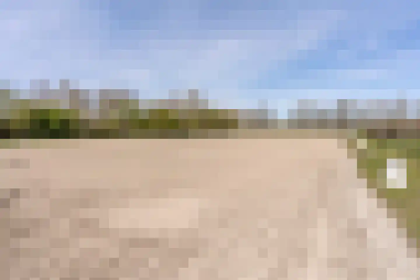 De Luttergreppel 21 Linde thumbnail 77