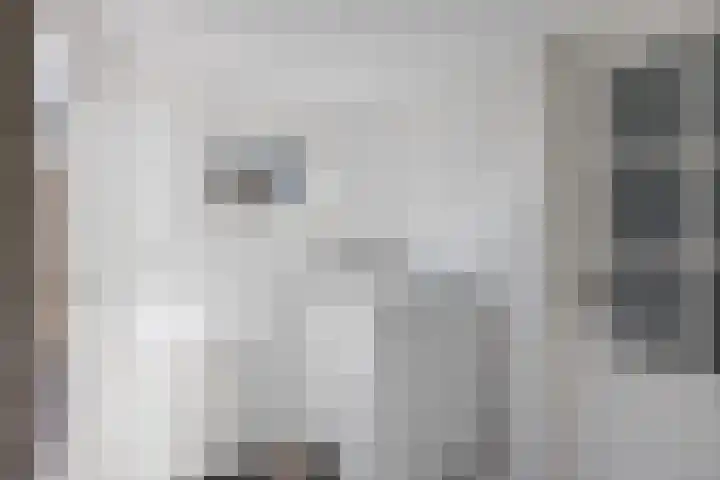 De Lysterfanger 5 Oudemirdum thumbnail 25