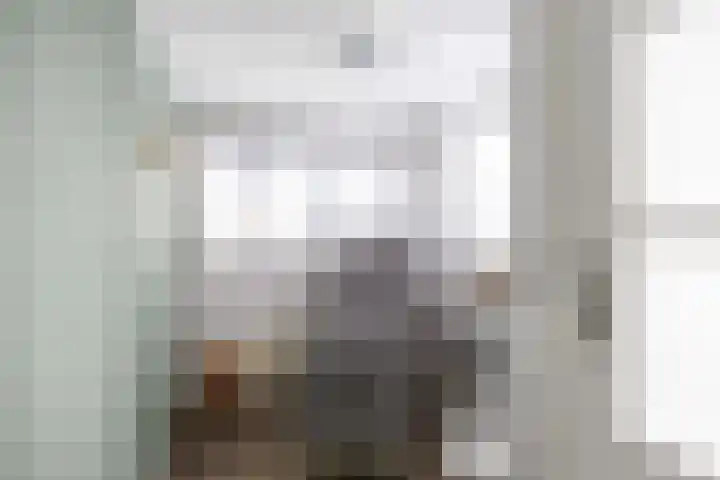 De Lysterfanger 5 Oudemirdum thumbnail 27
