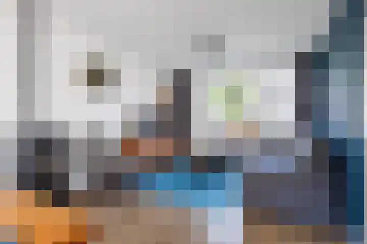 De Lysterfanger 5 Oudemirdum thumbnail 4