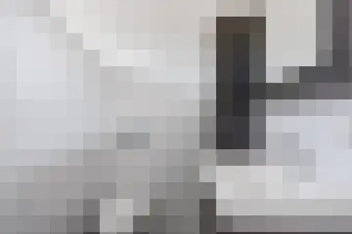 De Lysterfanger 5 Oudemirdum thumbnail 40