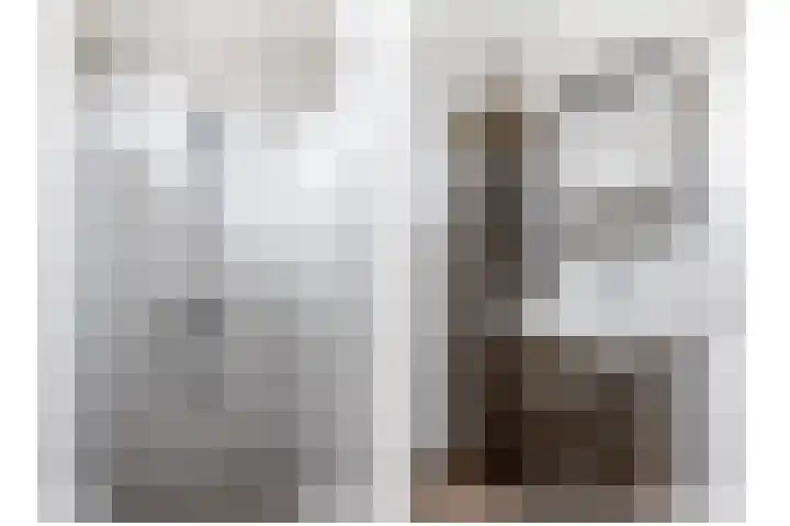 De Lysterfanger 5 Oudemirdum thumbnail 41
