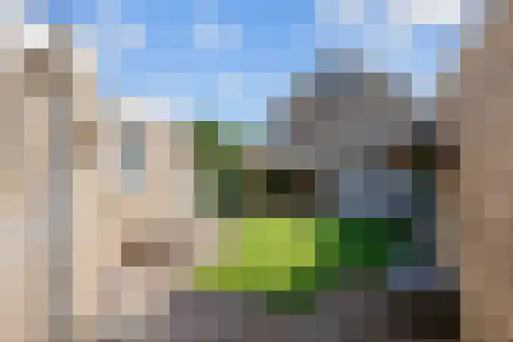 De Lysterfanger 5 Oudemirdum thumbnail 45