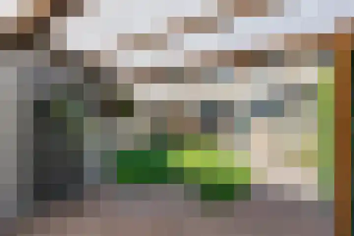 De Lysterfanger 5 Oudemirdum thumbnail 48