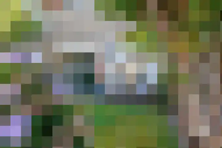 De Lysterfanger 5 Oudemirdum thumbnail 55