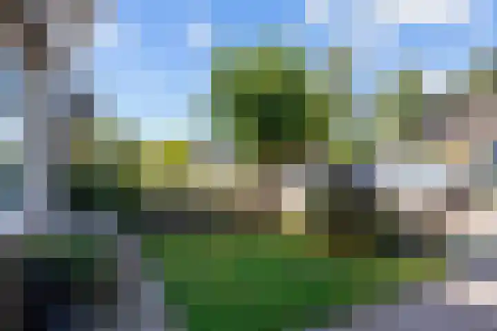 De Lysterfanger 5 Oudemirdum thumbnail 56